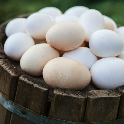 Яйцо куриное домашнее с фермы 10шт